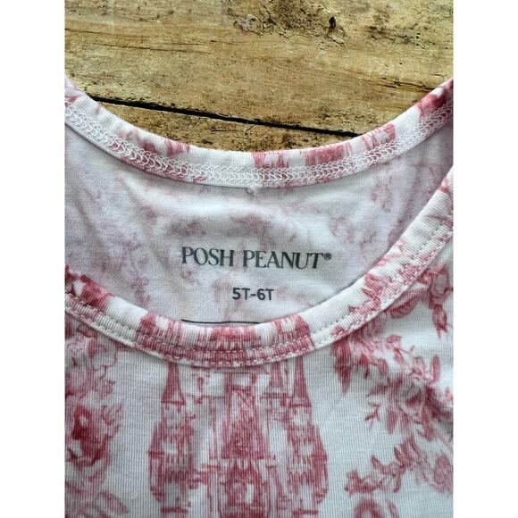 Posh Peanut Antoinette Pink Toile Bamboo Racerback Ruffled Twirl Dress 5/6 - Picture 4 of 4